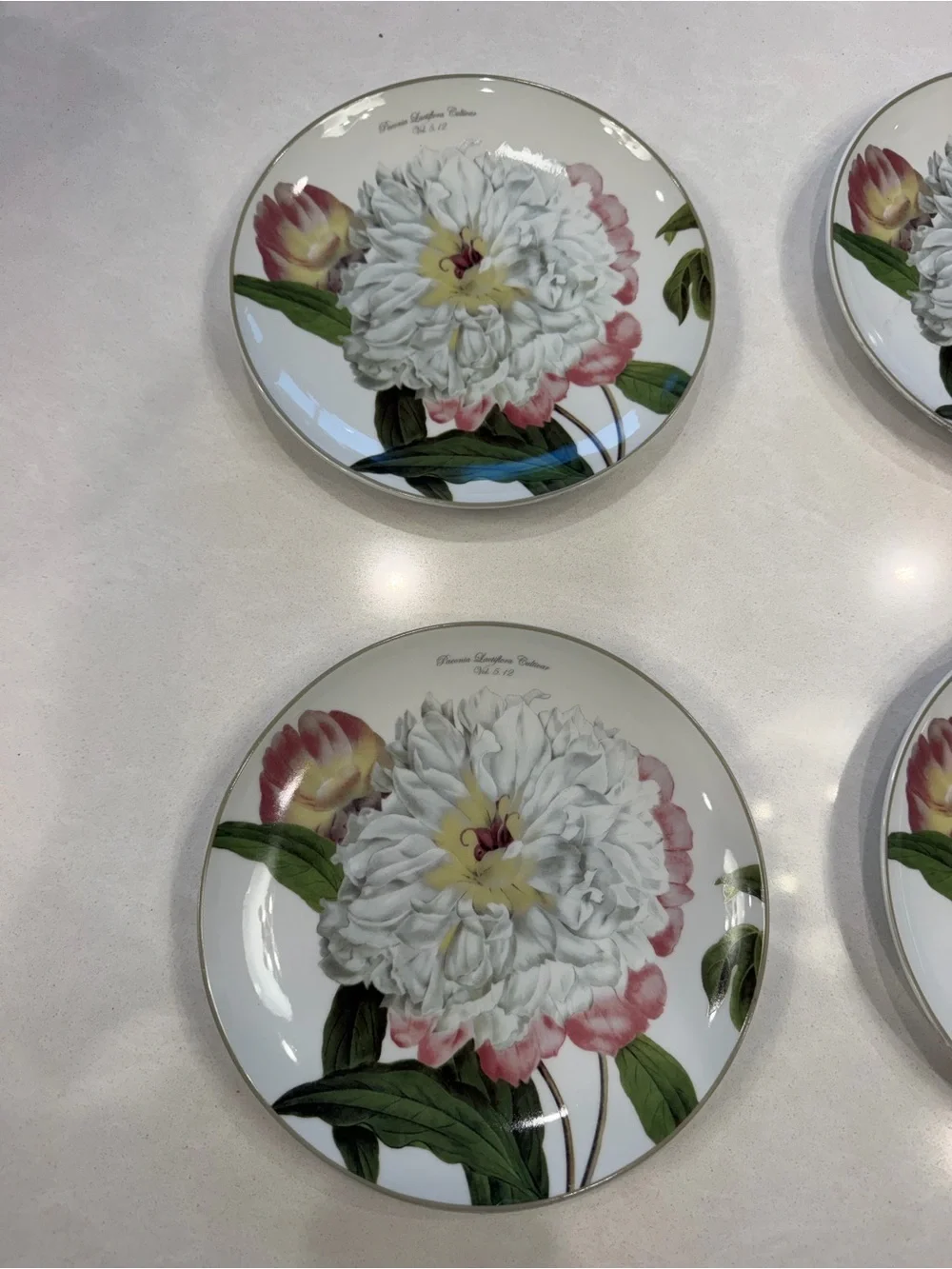 Williams Sonoma botanical peony set of four salad plates 2011